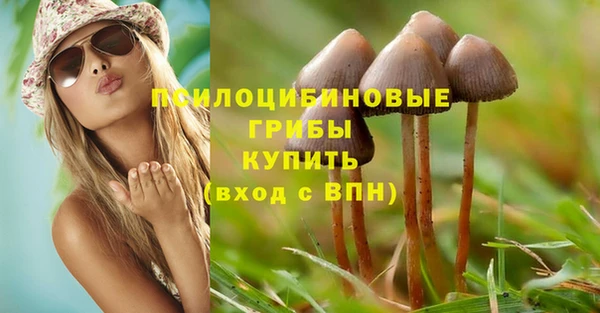 каннабис Белокуриха